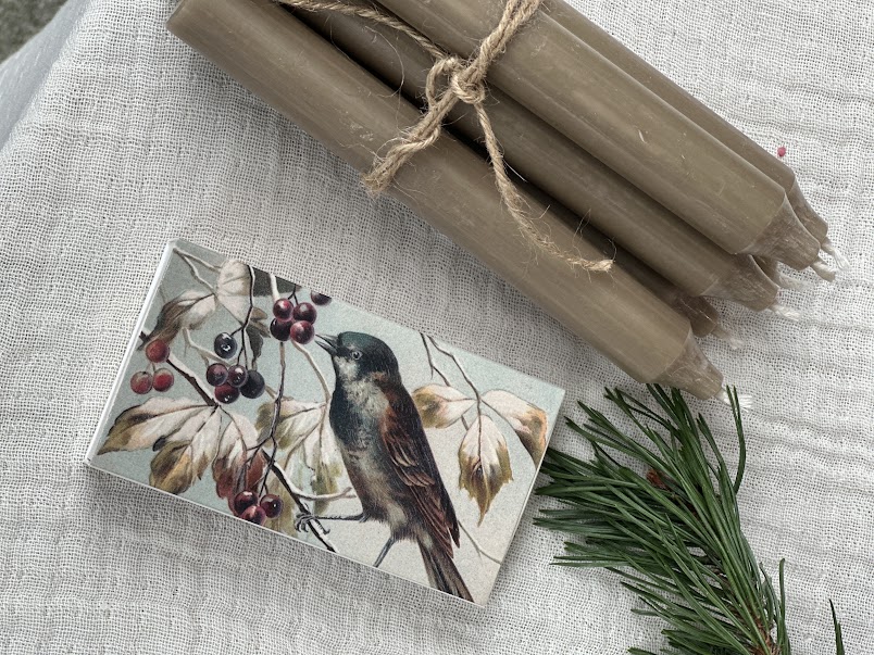 Sköna Ting Fyrstikk Vinterskog