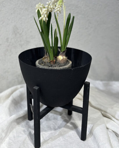 Søgne Home Alf potte